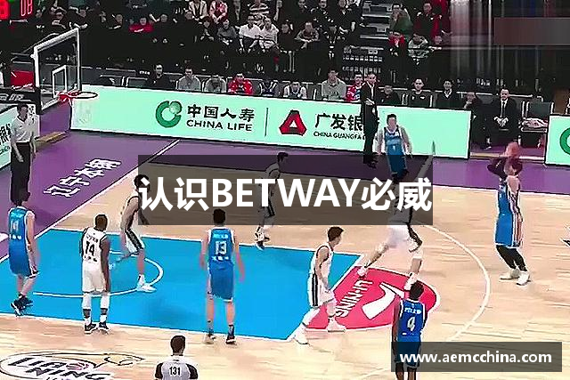 认识BETWAY必威